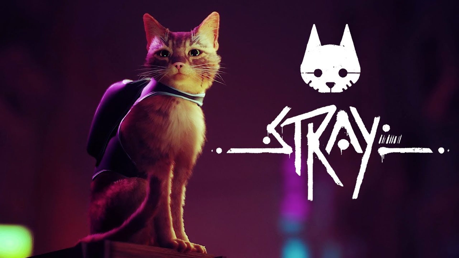 Stray: è boom di incassi per l’avventura del randagio rosso